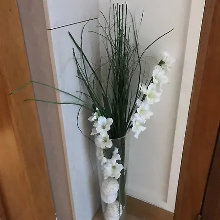 Apartment Appart' Weekly